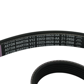 Aston Martin Cinghia di trasmissione ED23-8620-AA