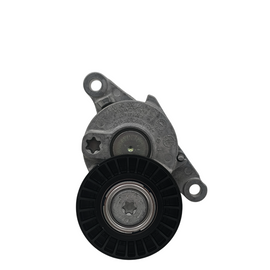 Aston Martin Tenditore Cinghia Servizi JY53-SE6B209-BA