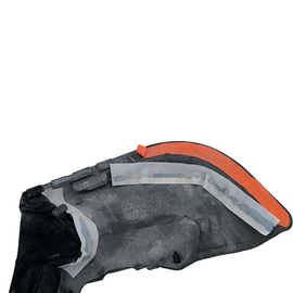 Aston Martin Guarnizione interna porta posteriore sinistra AD43-F20573-AC