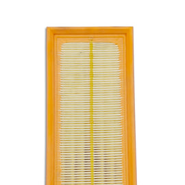 Land Rover Filtro Aria Motore OEM ESR4103